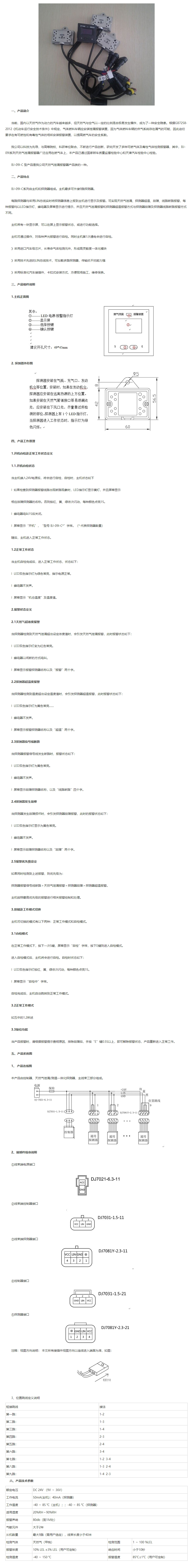 天然氣泄漏及溫度探測(cè)報(bào)警系統(tǒng) BJ-09I-C型