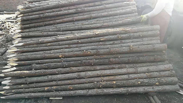 江苏杉木绿化桩制成的环保家具