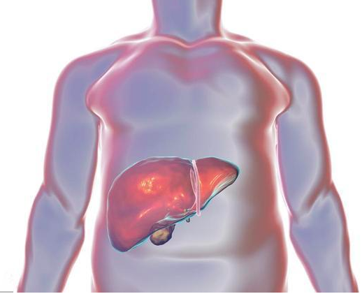“自体外周血干细胞移植联合人工肝”：开辟肝衰竭新途径
