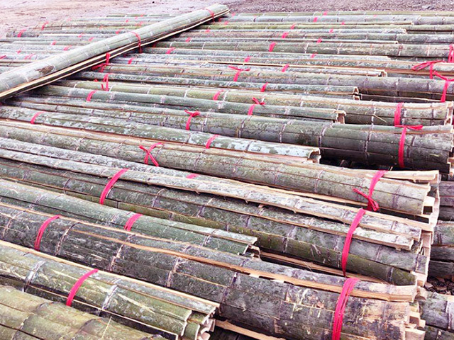 河道杉木樁在水里可以使用多少年