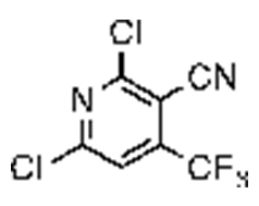 2,6-dichloro-4-(trifluoromethyl)nicotinonitrile