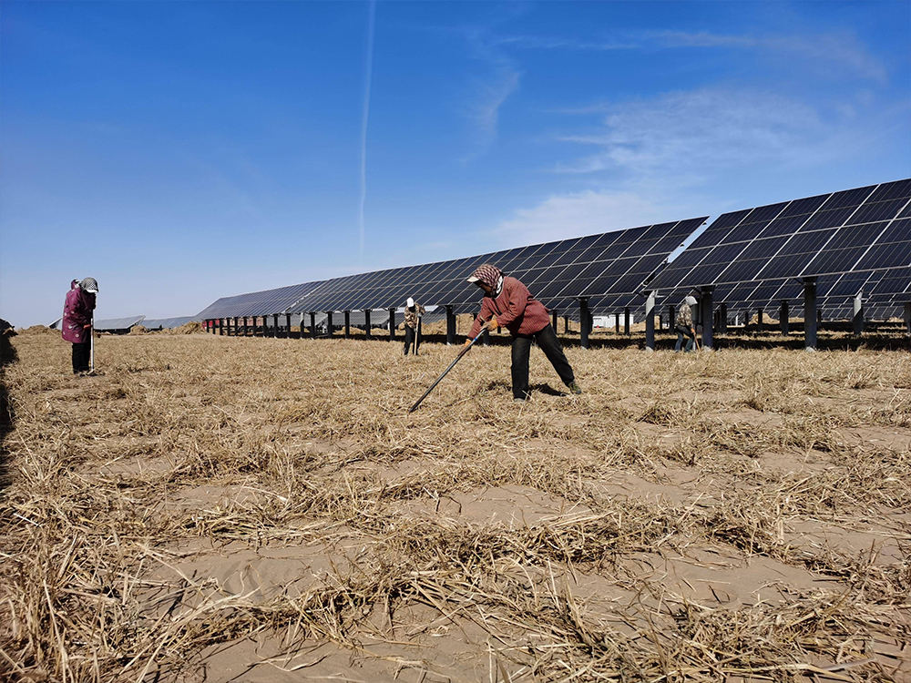 光伏治沙技术面临哪些挑战？