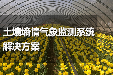 土壤墑情氣象監測系統解決方案