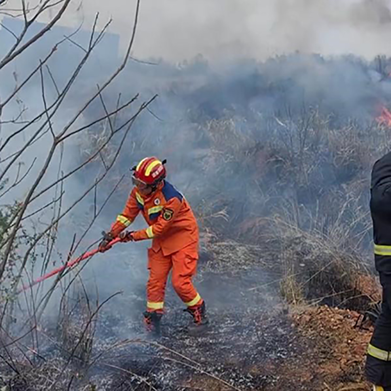 Mountain fire prevention online monitoring system, the fire is merciless, but people have temperature