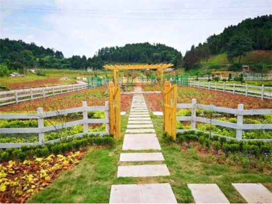 五一住进春天里　简阳田园荷桥村邀您来打卡