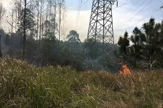 架空輸電線路山火監(jiān)測裝置，讓線路山火險情不再是電網之殤