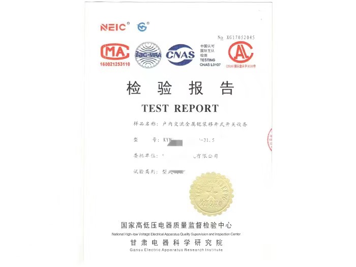 檢驗(yàn)報(bào)告展示
