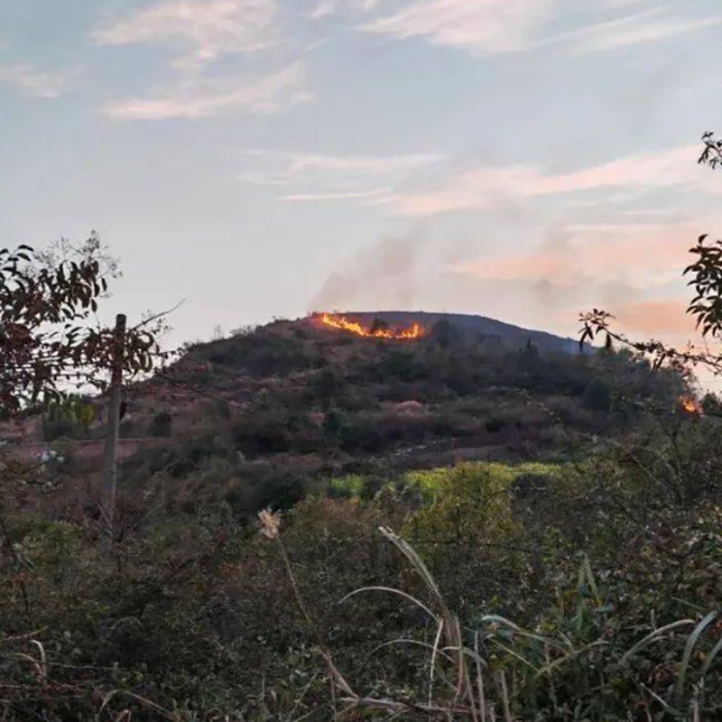 秋季防火，電網先行：輸電線路防山火在線監測系統，筑牢山火防治安全網