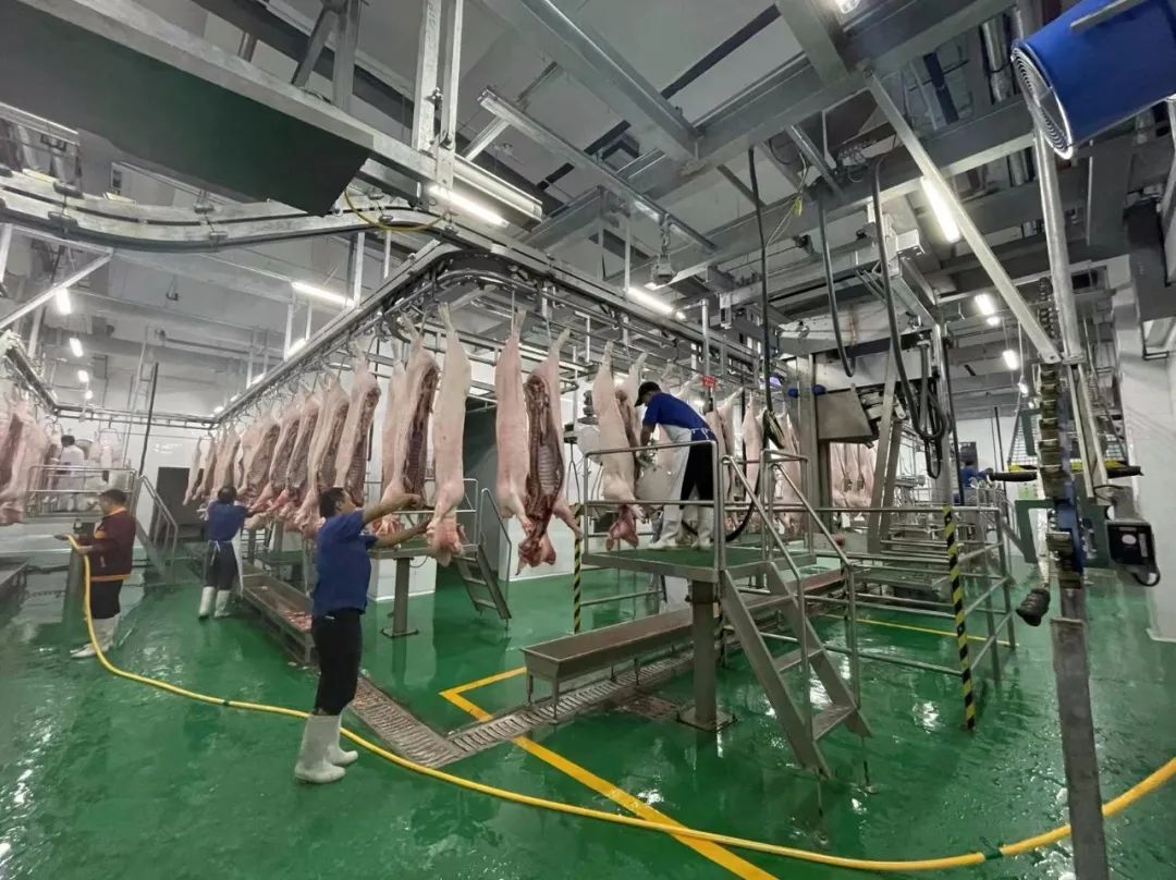 时光知味,岁月沉香 时光知味,岁月沉香