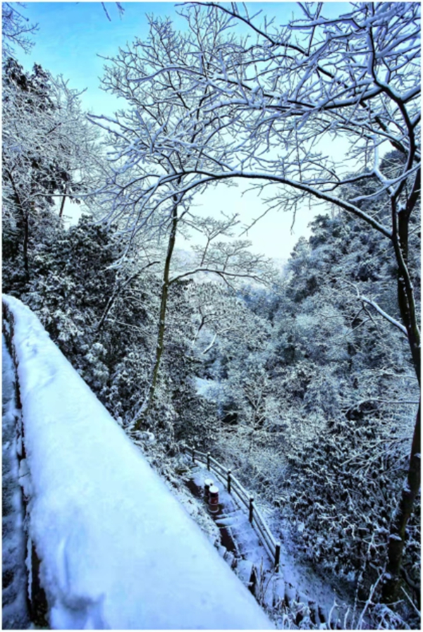 雪雪雪雪雪，邛崃天台山迎来入冬第一场雪