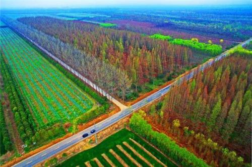 浙江省林业局开展林业贷款贴息和储备林项目管理培训