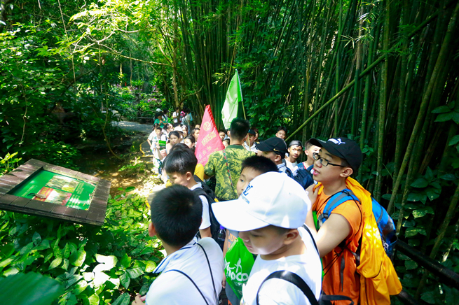 畅游雨林，三亚市第四小学六年级呀诺达研学之旅圆满结束