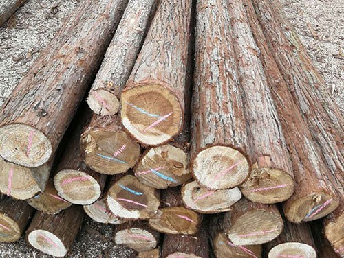杉木桩在一些软土上的应用效果如何