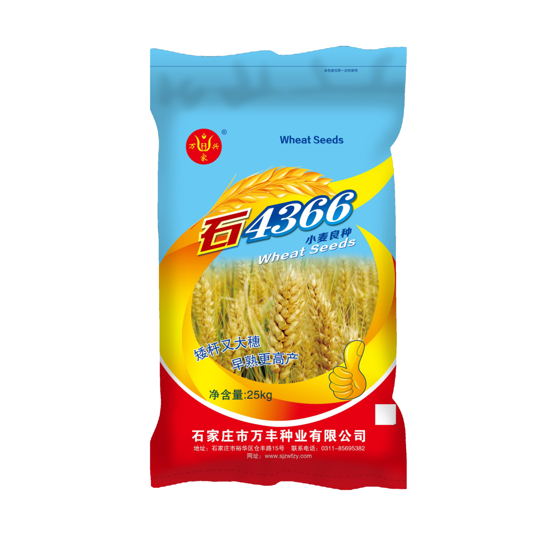 小麥種子石4366