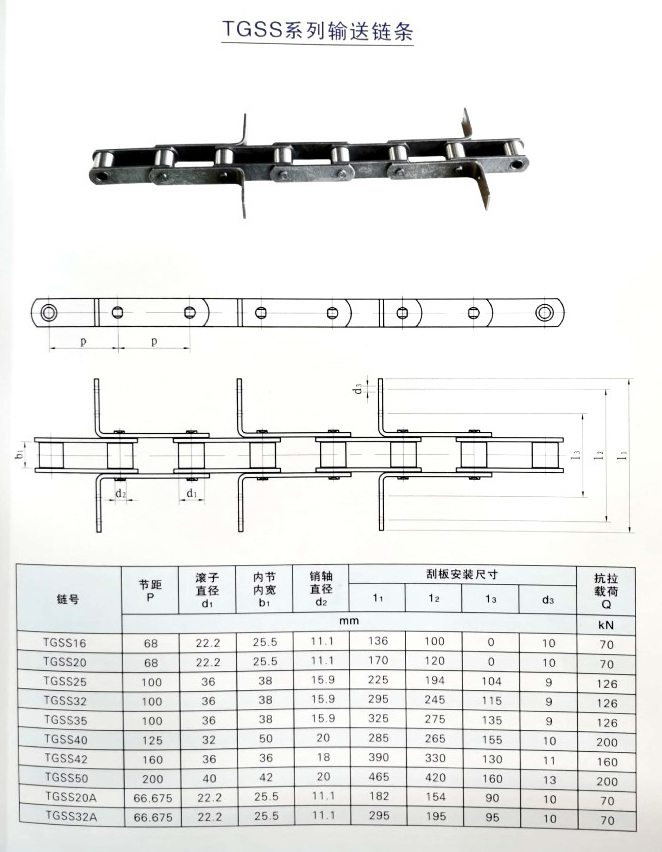 TGSS系列输送链条