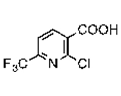 2-chloro-6-(trifluoromethyl)nicotinic acid