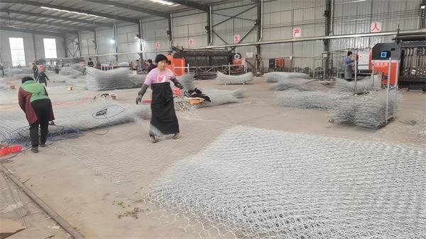 安平客户三台石笼网机使用中