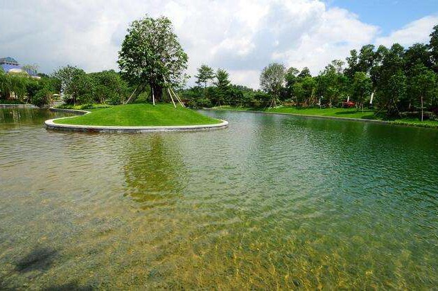 治理水污染的措施有哪些？