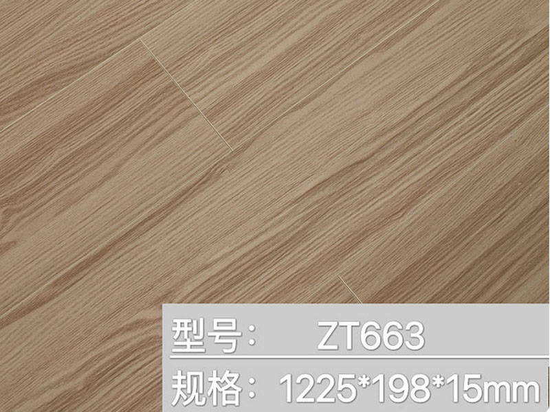 ZT-663木地板
