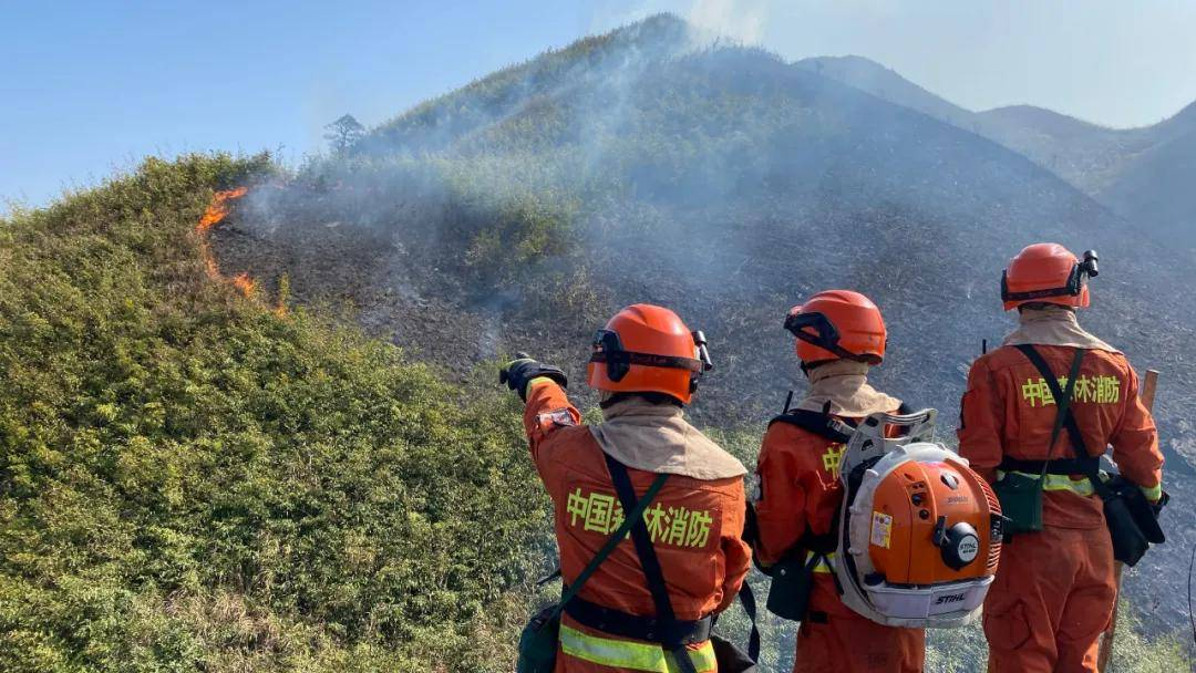 森林防火预警管理解决方案