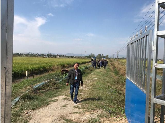 芜湖水稻种植穗期施肥要注意哪些问题