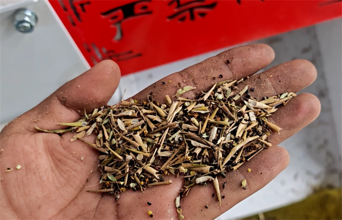 安徽客户油菜籽筛选生产线