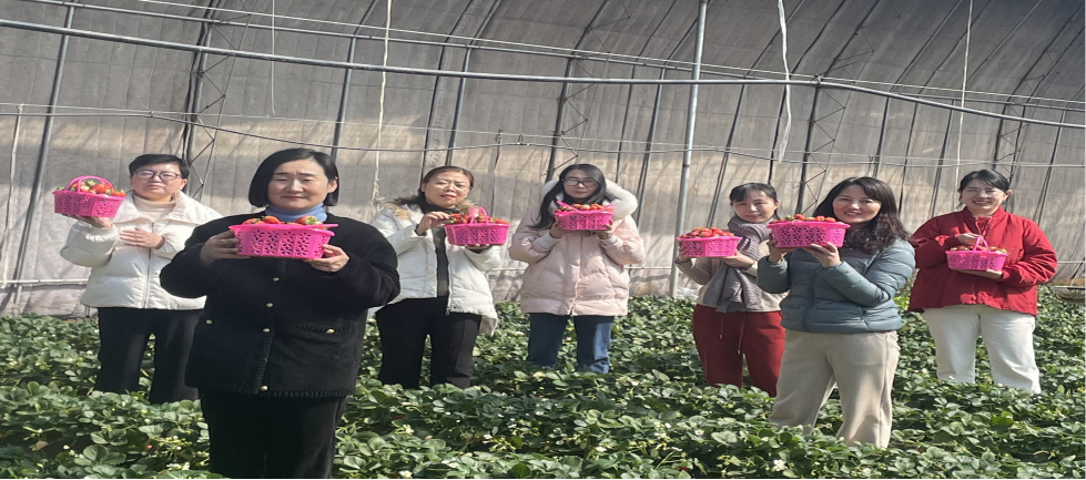 “莓”好时光，与你相约—淄明律所组织庆“三八”节采摘活动