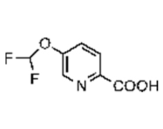 5-(difluoromethoxy)picolinic acid