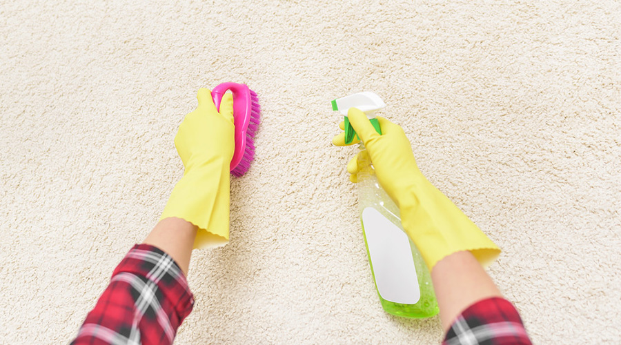 家居用品清洁有技巧，创兴清洗来教你