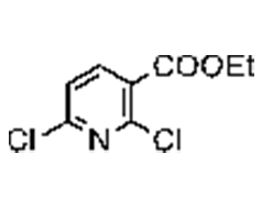 ethyl 2,6-dichloronicotinate