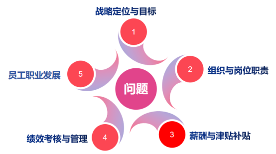 某上市公司薪酬管理体系改革项目