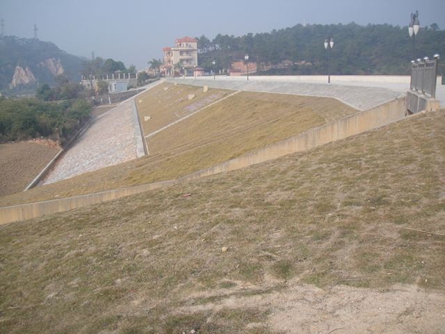 惠州多祝镇道路植草