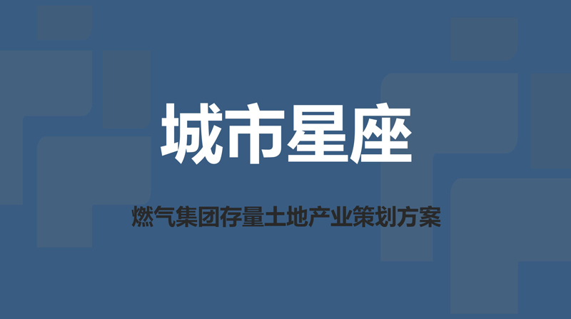 项目产业策划方案