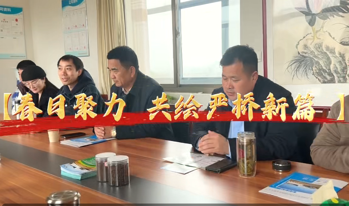 春日聚力，共绘严桥新篇