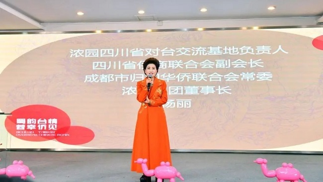 浓园吾创年华艺术节：汇聚侨台精英 共襄文化盛举