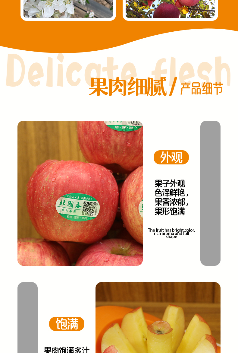 紅富士蘋果 有機