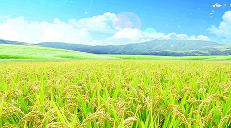 农药登记环境影响资料要求及试验技术培训班在南昌举办