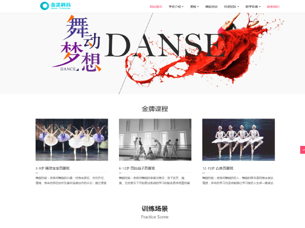 芭蕾舞教育网站模板