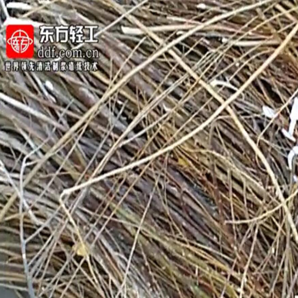大豆稈無污染造紙丹東東方在黑龍江海倫市簽約新聞