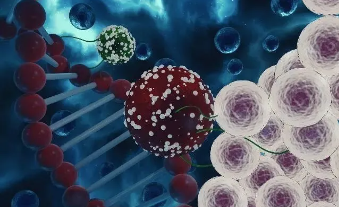干细胞疗法对肝病肝硬化的临床现状及前景
