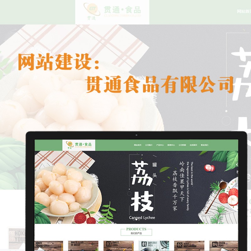 網(wǎng)站建設(shè)——貫通食品有限公司