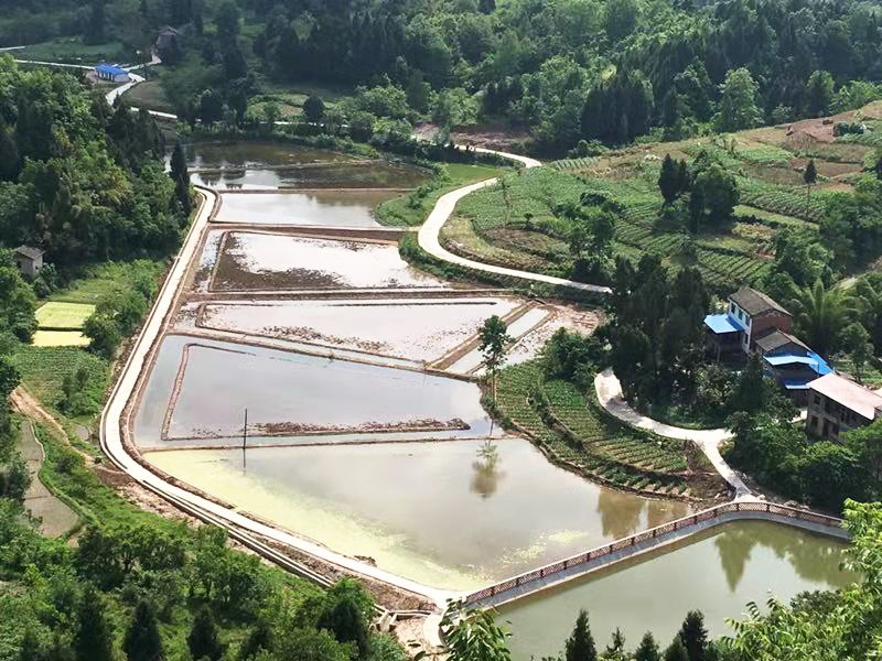 学员的养殖基地