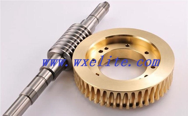 Worm gear assembly