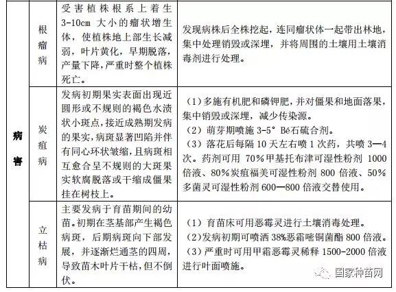 欧李原料林可持续培育指南