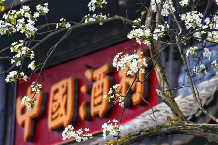 大梁酒庄清明祭：煮酒拜天　鸢飞病袪