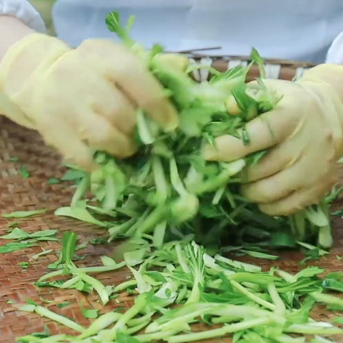 荻港香菜，人人喜爱