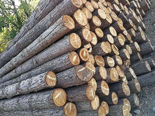 木桩长度