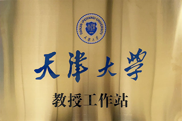 天津大学教授工作站