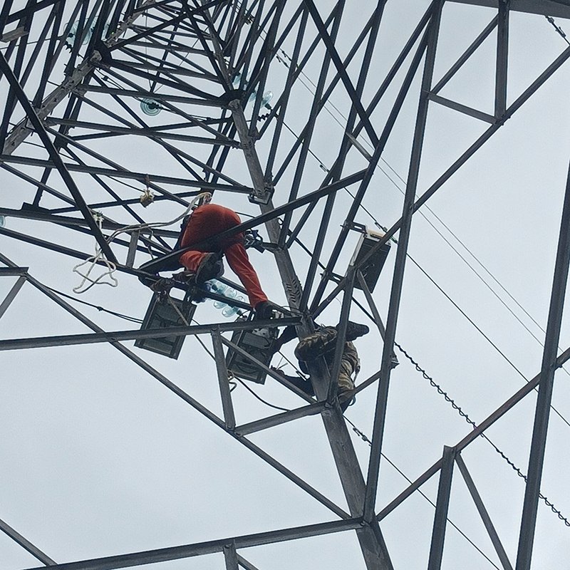 2024.05.10 Overhead line image online monitoring (dual optical dome) Equipment installation case