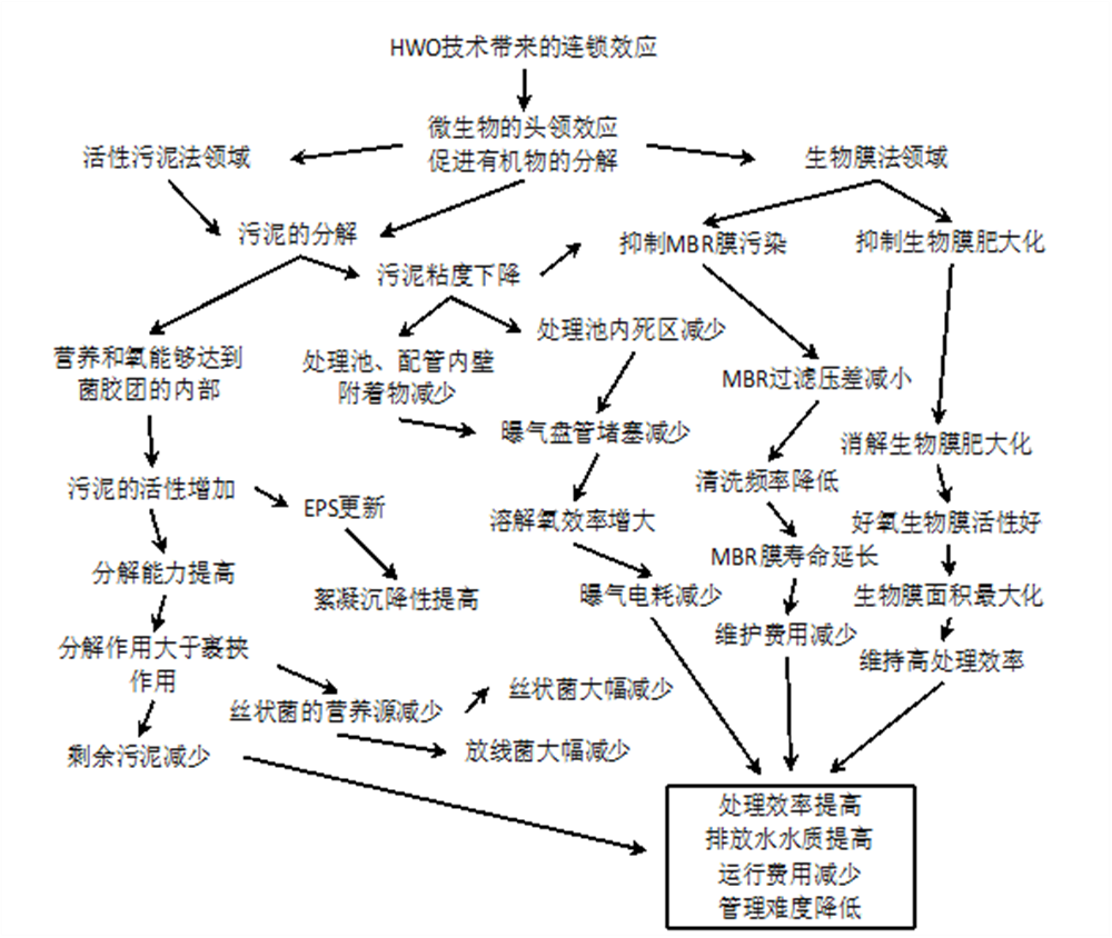 HWO技术革新带来的连锁效应